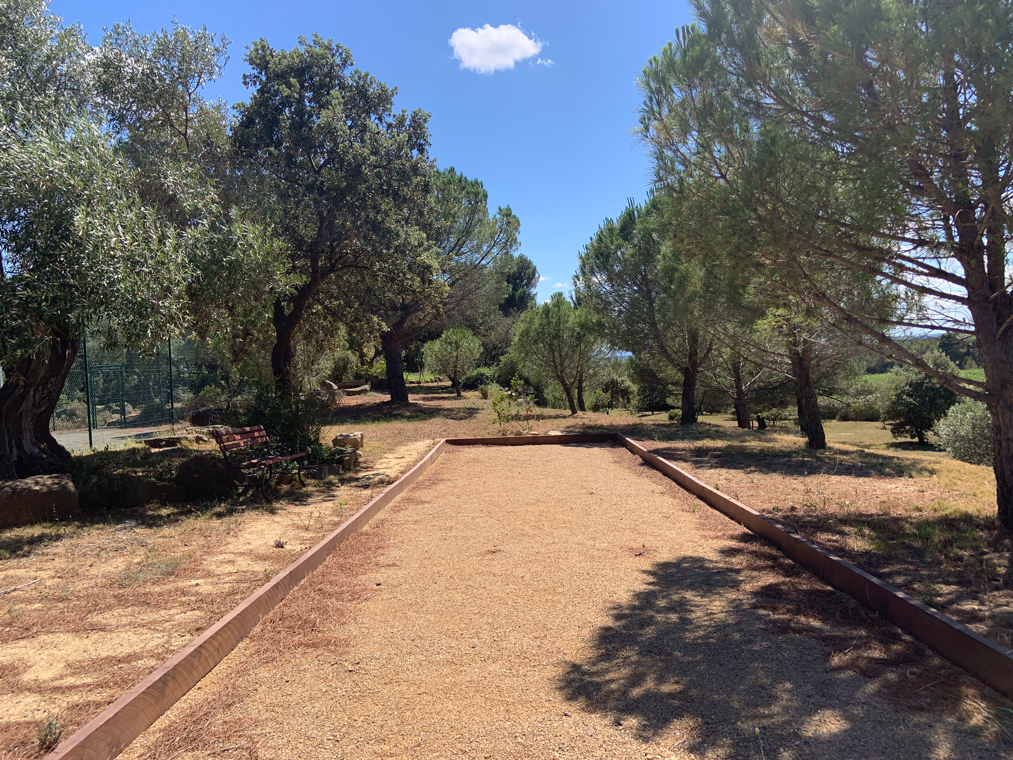 boules terrain 01