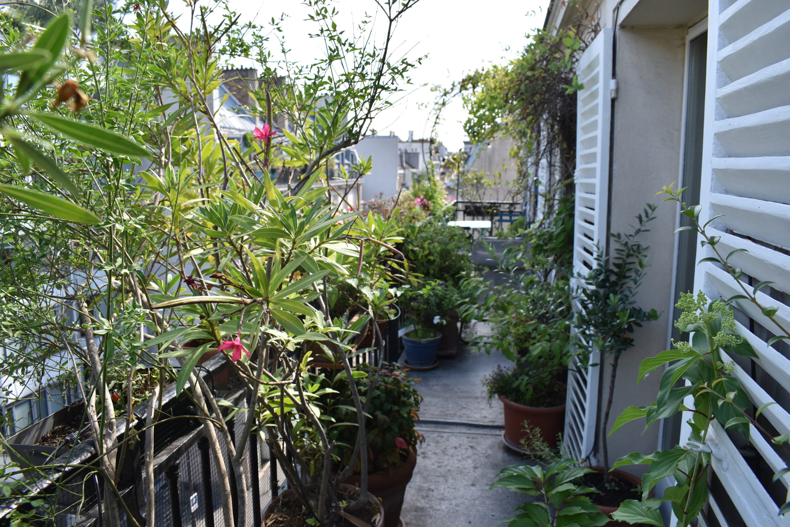 Rue de Paradis - Balcony