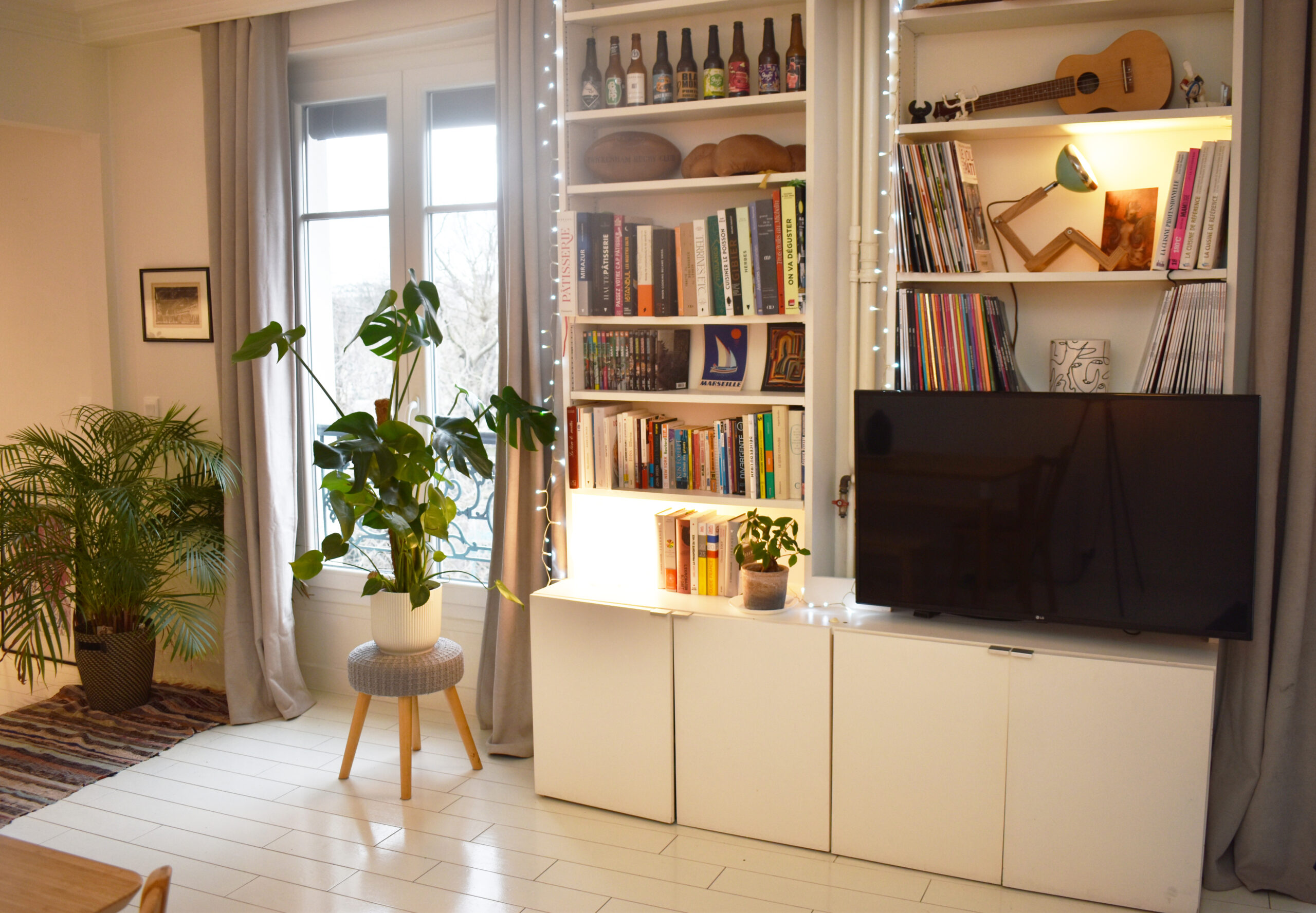 MM - Bookcase & TV